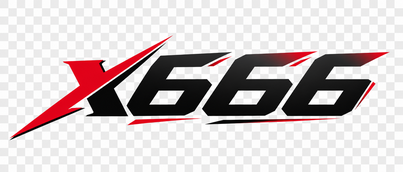 x666